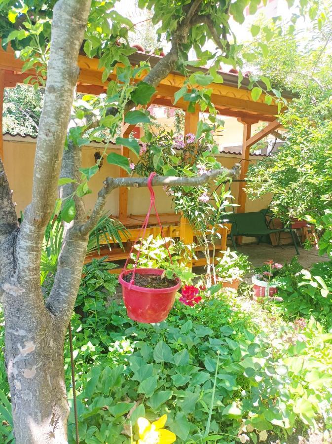 Kiki - Family Apartment Primorsko Exterior photo